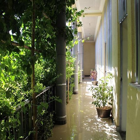 Bahir Dar Backpackers Hostel Luaran gambar