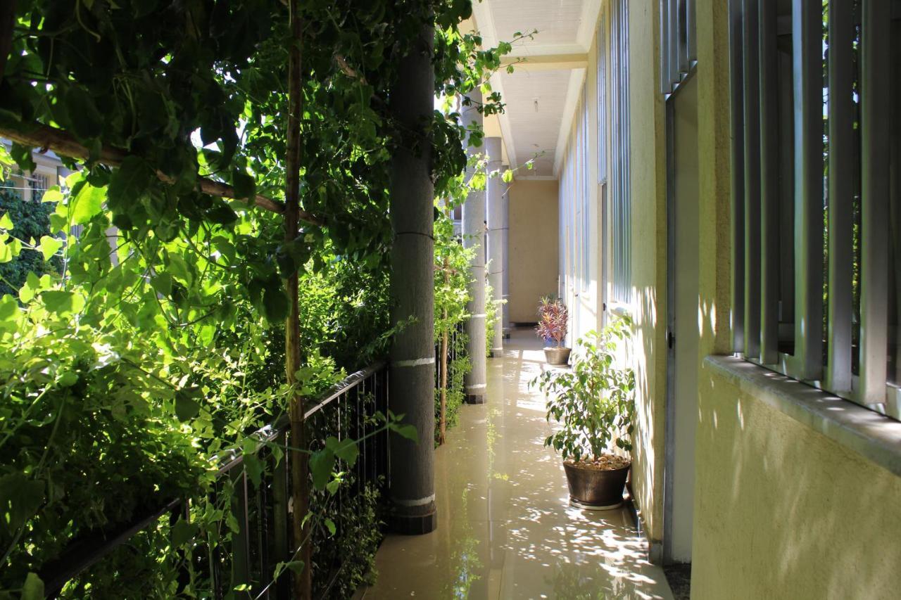 Bahir Dar Backpackers Hostel Luaran gambar